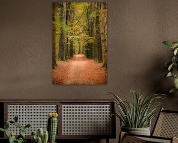 Pad door een beukenbos met gouden bladeren tijdens de herfst