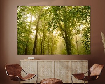 Sfeervol bos in de herfst met mist in de lucht van Sjoerd van der Wal Fotografie