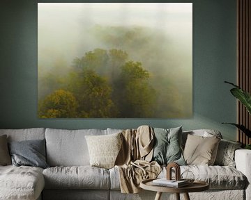 Mistig bos vanuit de lucht tijdens de herfst van Sjoerd van der Wal Fotografie