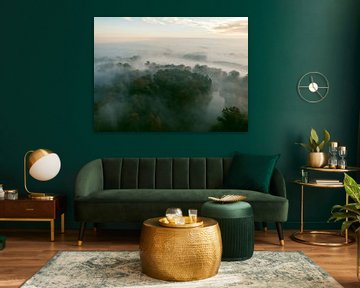 Mistig bos vanuit de lucht tijdens de herfst van Sjoerd van der Wal Fotografie