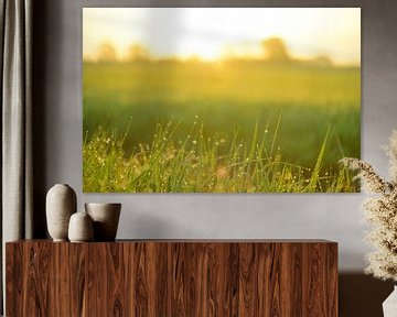 Zonsopgang boven een veld met dauw op het gras van Sjoerd van der Wal Fotografie