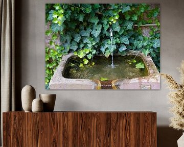 Hidden Fountain - Ivy and Water in Karlsruhe-Durlach by Matthias Hauser
