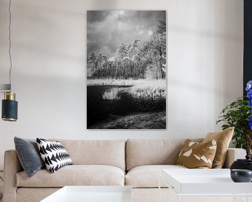 Surrealistisch infrarood landschap met poel in bos van Hidden Light Gallery