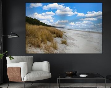 Uitzicht over het strand op Usedom met duinen aan de ene kant en de Baltische Zee aan de andere kant van Martin Köbsch