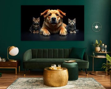 Puppy vol energie