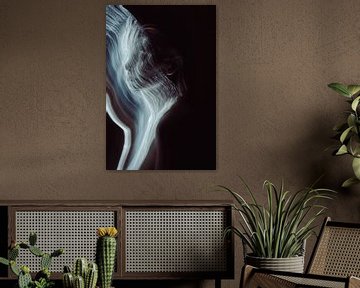 Fluid Silence | Lightpainting Model | Light painting by Bob Mans