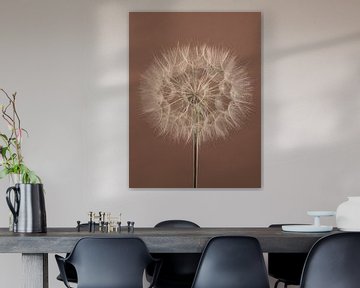 Eenvoud kan zo simpel zijn: Moccha Mousse met een lichte beige Tragopogon van Marjolijn van den Berg