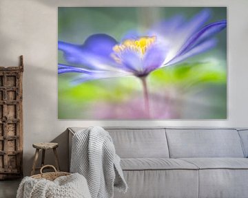 The flower as a painting.