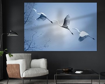 De grote Zilverreiger van Foto Studio Labie