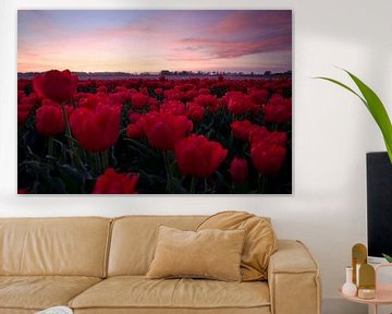 Zonsondergang bij rood tulpenveld van Laura Krol