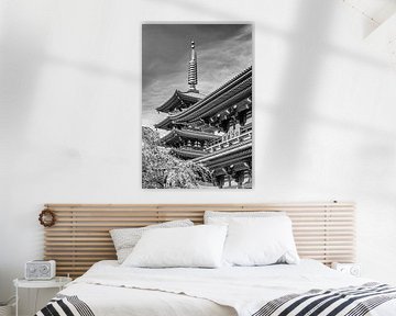 Malerische Pagode und Hozomon Tor des Senso-ji-Tempels in Tokio | monochrom von Melanie Viola
