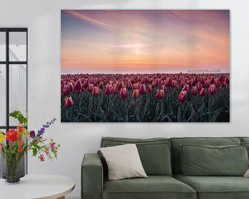 Sunrise at the tulipfield van Ilya Korzelius