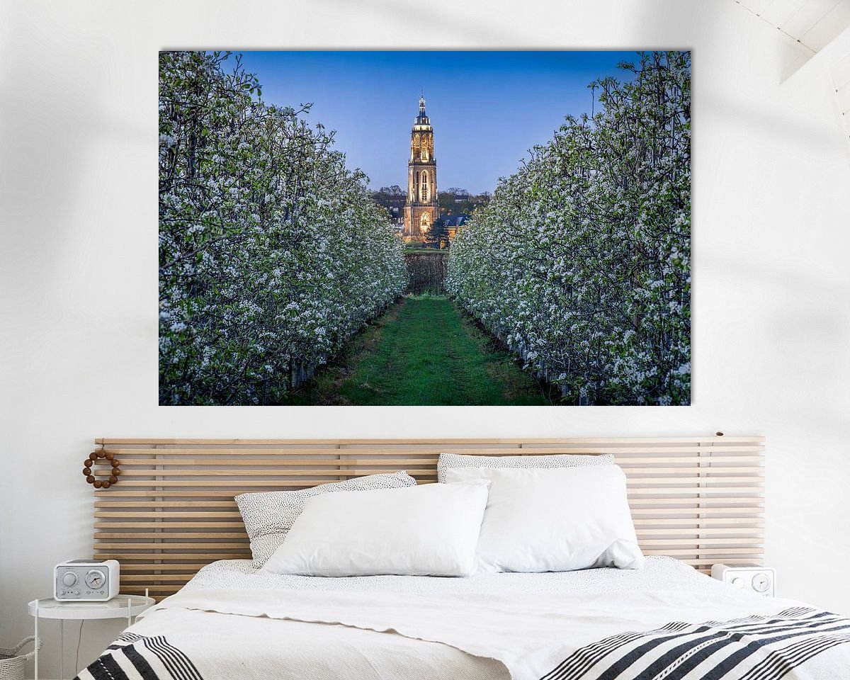 Aperçu de la chambre