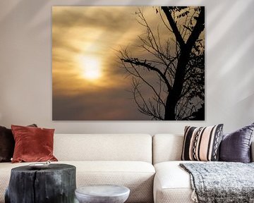 Tree silhouette at Erodios sunset by Luc V. de Zeeuw