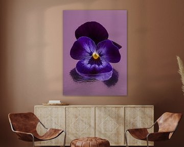 Roze met paars: Viooltje met abstracte weerspiegeling van Marjolijn van den Berg