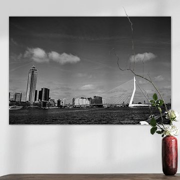 Stadtbild der Erasmusbrücke und der Stadt Rotterdam