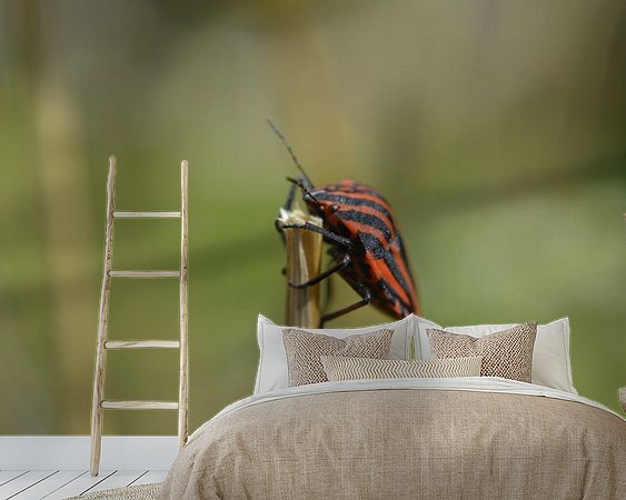 Aperçu de la chambre