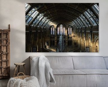 Prachtige architectuur achter de blauwe vinvis van Eline Huizenga