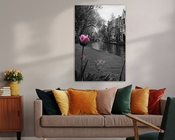 Spring on the Oudegracht, Utrecht
