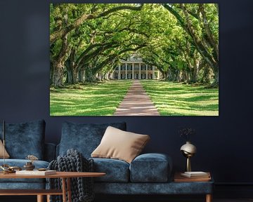 Oak Alley Plantation. van Jaap van den Berg