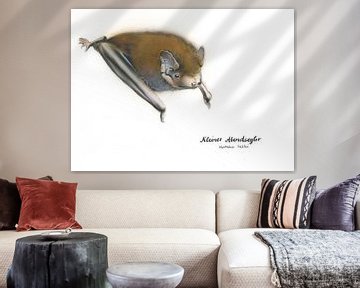 Der flinke Flieger – Kleiner Abendsegler (Nyctalus leisleri)