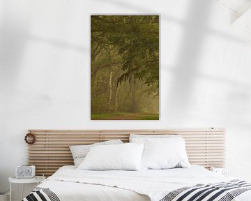 Two Birches, One Moment
