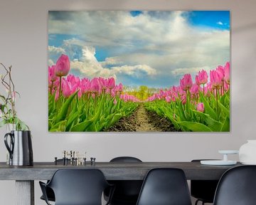 Tulpen in bloei in een veld tijdens de lente