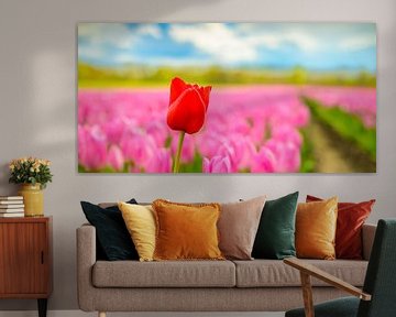 Tulpen in bloei in een veld tijdens de lente