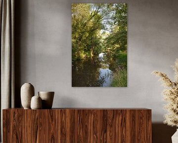 Dinkel rivier van Richard Wareham