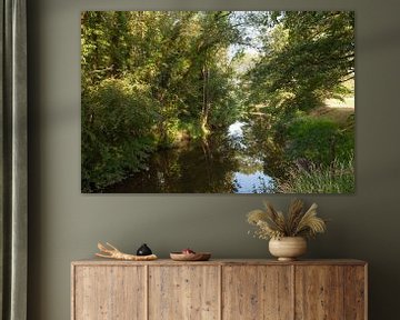 Dinkel rivier van Richard Wareham