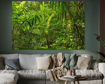 La nature verte au Suriname sur Patricia Hofmeester