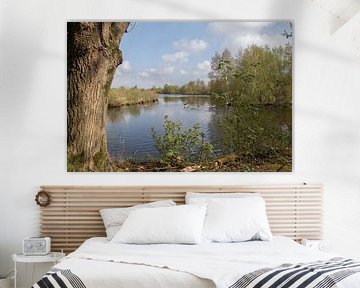 petgat met ganzen in de Deelen Friesland