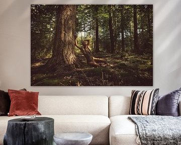 Touch Wood