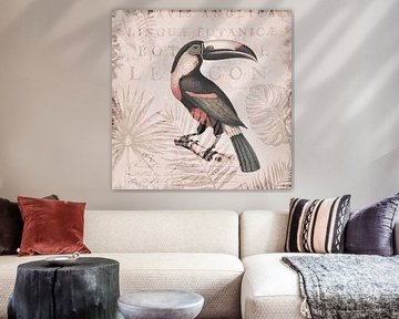Toekan Wereld van Andrea Haase
