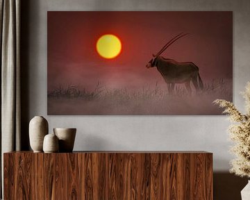 Gemsbok bij zonsopkomst van Chris Stenger