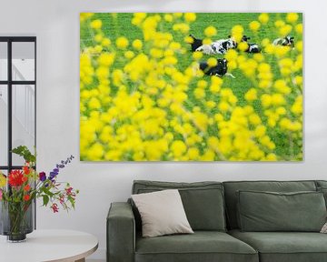 Koeien in de weide met frisse gele voorjaarsbloemen van Blond Beeld