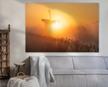 Noordermolen in het zonnetje van Sander van der Werf