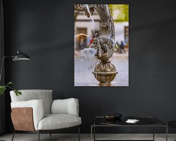 BADEN-WÜRTTEMBERG : DOLFIJNFONTEIN ULM van Photoart-Naegele