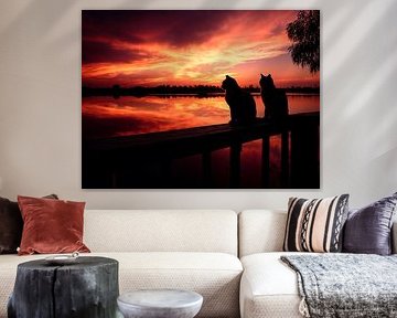Twee katten in silhouet tegen een levendige zonsondergang aan het meer