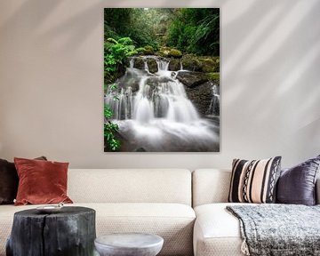 Waterval in Madeira (Queimadas Forest Park in Santana) van Jolanda Aalbers