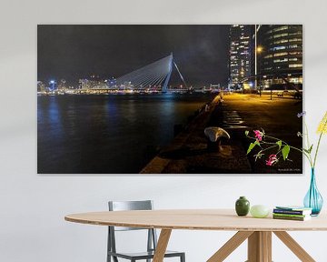 Erasmusbrug, Willemsbrug en de de Hef van Ronald de Vries