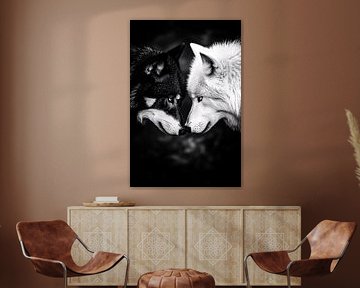 Black and white wolves in harmony