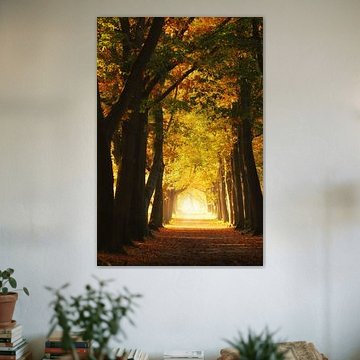 Licht am Ende des Tunnels in diesem schönen Herbstwald
