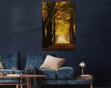 Licht aan het einde van de tunnel in dit mooie herfstbos van Sugar_bee_photography