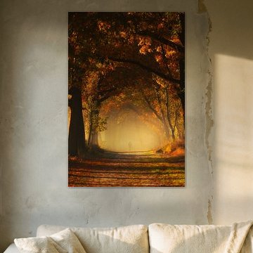 Wanderer im Morgennebel in einem Wald voller Herbstfarben