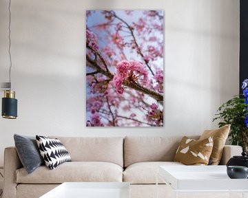 Blossom tree by Marloes ten Brinke