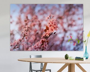 Blossoming cherry blossom tree by Marloes ten Brinke