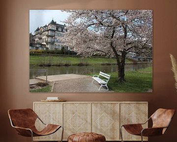 Blühender Baum an der Saale mit Hotel in Bad Kissingen