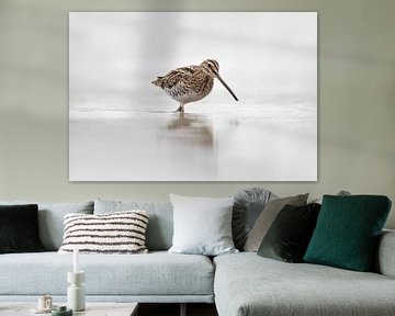 Watersnip in t water. van Tanja van Beuningen