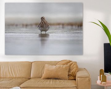 Watersnip in het water. van Tanja van Beuningen